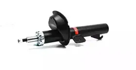 BSG 30-300-013 BSG